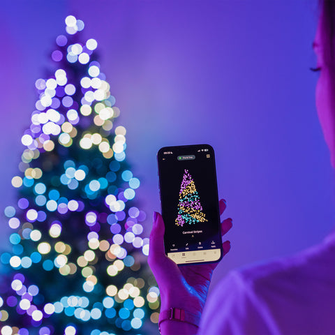 Twinkly App-Controlled Light Strings-1 String, 750 Lights per String